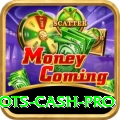 Winli Slots Cash Pro